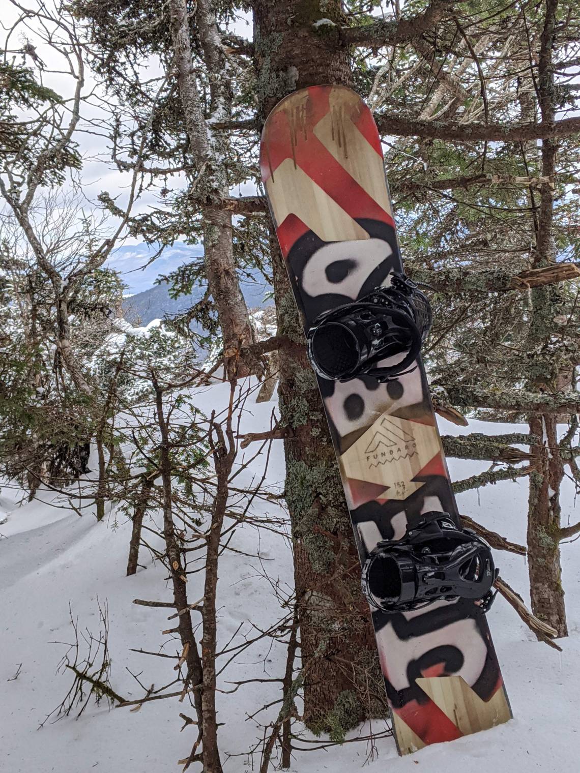 00000PORTRAIT_00000_BURST20200306130028108