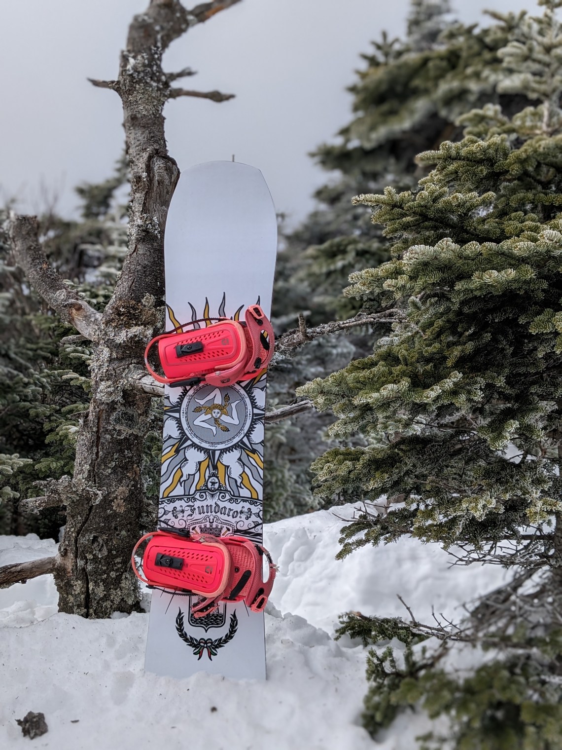 pxl_20230324_144726024.portrait